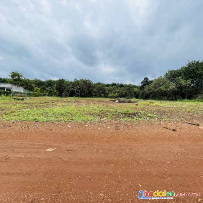 Kẹt tiền bán gấp đất thổ cư chỉ 300tr  250m² có 100m thổ cư (sổ sẵn)