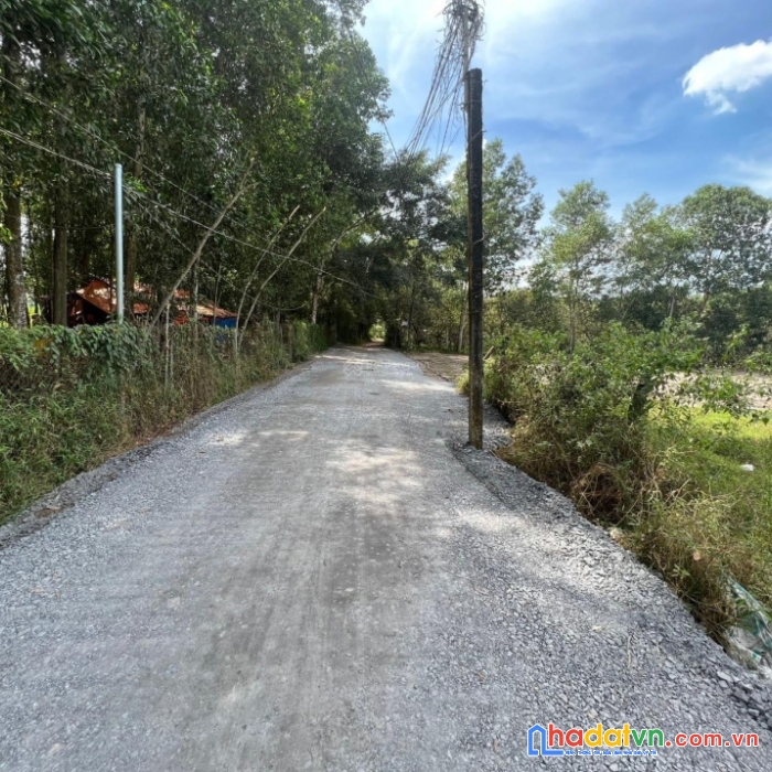 Đất shr bình sơn,long thành,đồng nai giá chỉ 18 triệu m2