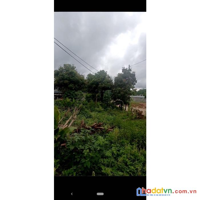  bán đất mường sang gần khu cầu kính bạch long ,mộc châu ,sơn la
