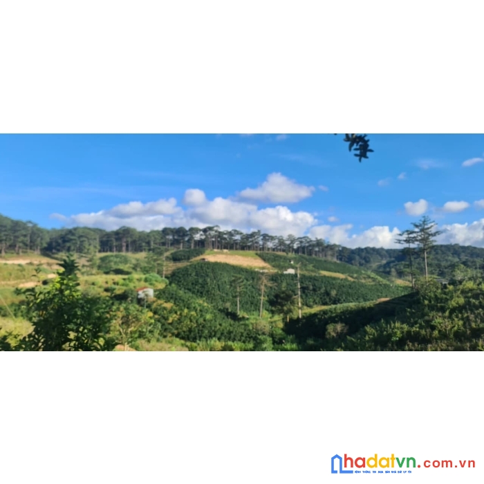 Ngộppppp......bán gấp đất rộng view đẹp đầu xuân thọ, đà lạt 1000m2 giá chỉ 1 tỷ