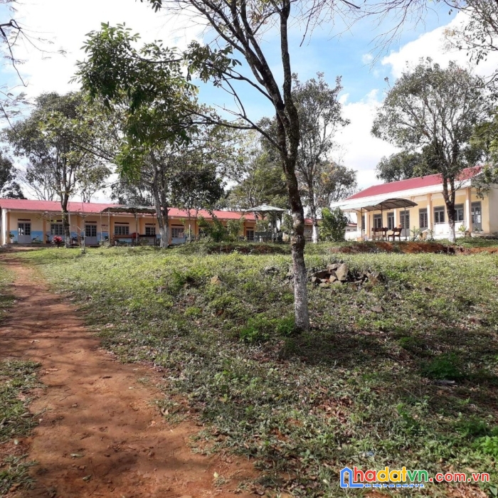 Cần bán gấp lô đất vị trí đẹp tại tỉnh đăk nông