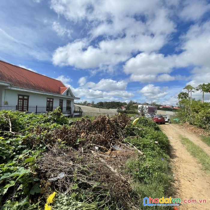 Bán 200m đất đường võ trường toản phường 8 đà lạt chỉ 3,6 tỷ