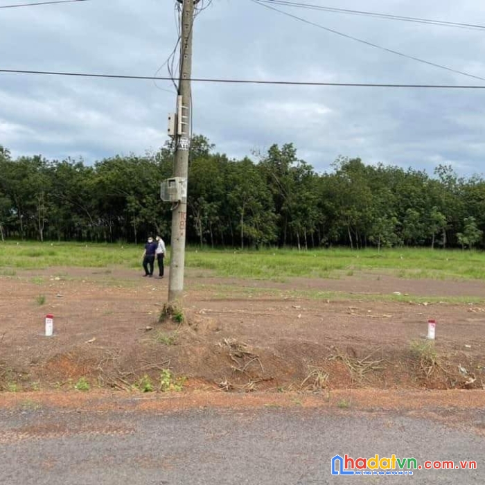 Một lô duy nhất 200m2 mặt nhựa liên xã 19m, giá chỉ 330 triệu