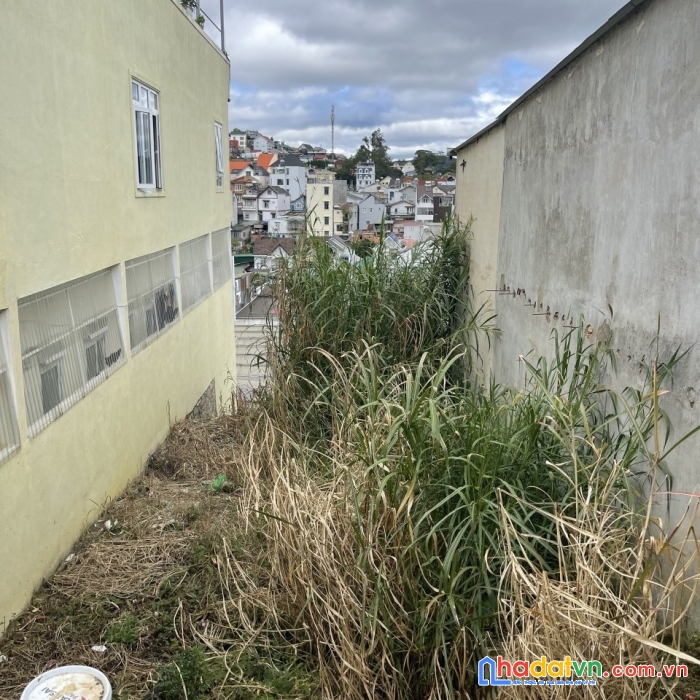 Bán gấp đất sổ riêng gần trung tâm đường pastuer, đà lạt 131m2 giá chỉ 3.2 tỷ