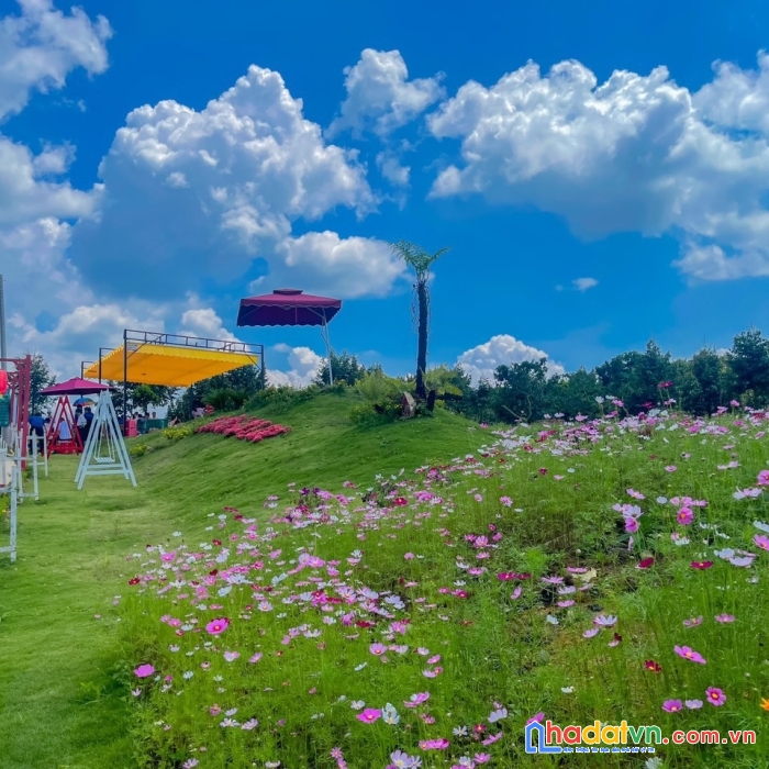 Bán đất  thổ cư tp. bảo lộc - giá chỉ 5.7tr/m2