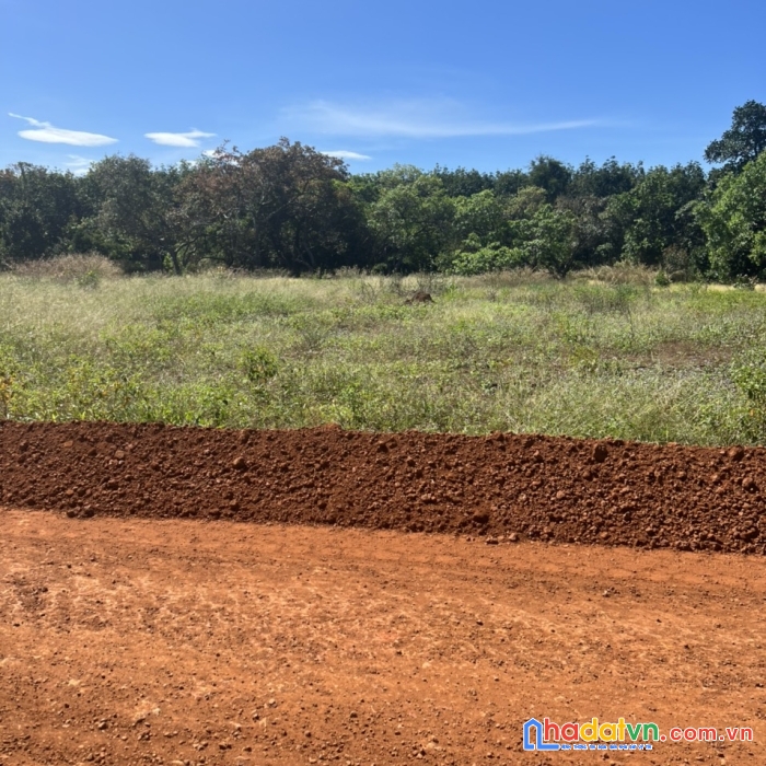 Ra gấp lô đất thổ cư 250m2 ngay trung tâm huyện chỉ với 300tr