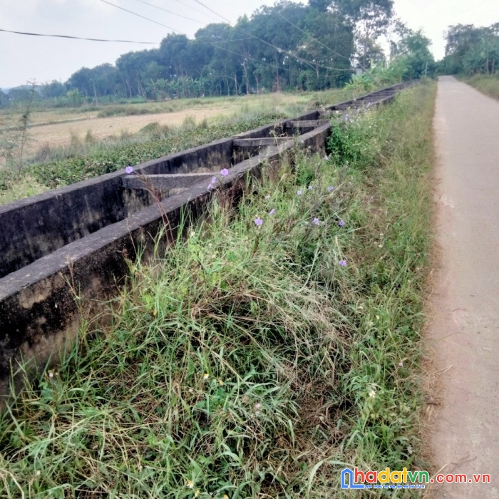Chính chủ cần ra nhanh lô đất mặt tiền tại thanh hóa