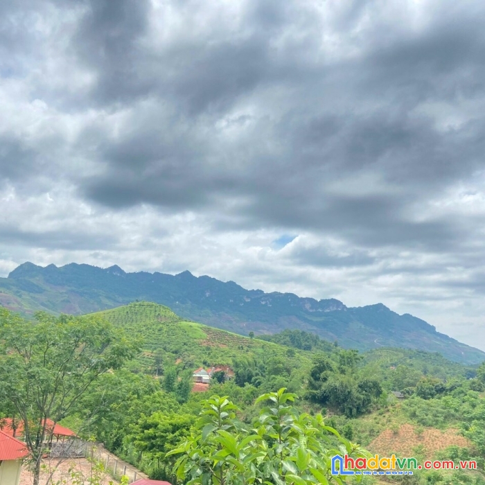   bán đất chiềng sơn ,mộc châu hướng đi cửa khẩu ,4000m, có thổ cư

