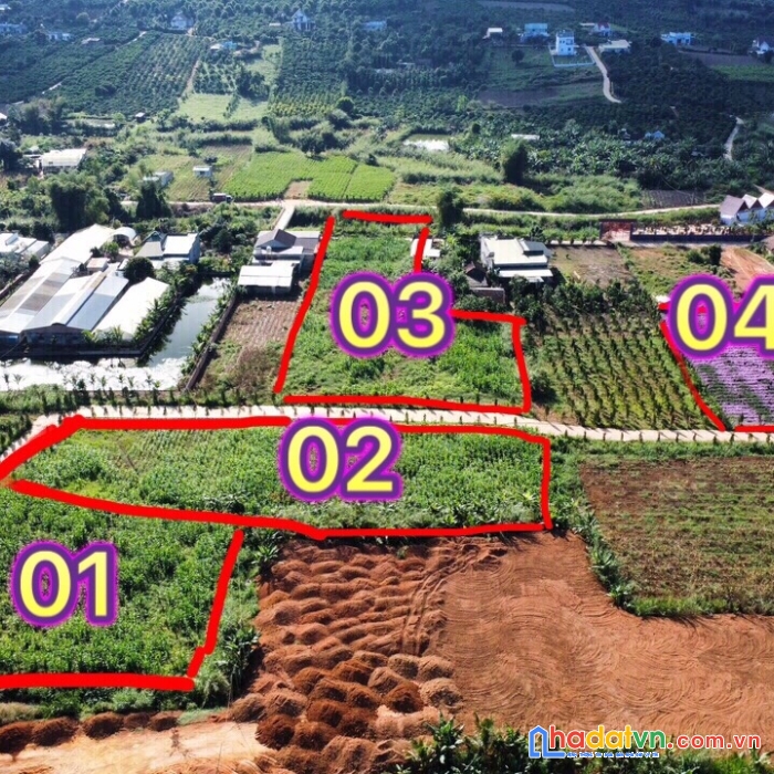 Cần bán  đất sào  thị trấn nam ban ,lâm hà ,lâm đồng   gía rẻ ; 2,4  tỷ / 1624.9 m2