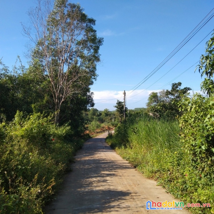 Bán đất sào xã phú ngọc,định quán đồng nai giáp chợ la ngà, shr, giờ mua bao lời.