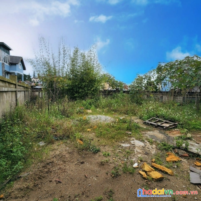 Bán gấp đất biệt thự đường phạm hồng thái, đà lạt 286m2 giá chỉ 10 tỷ