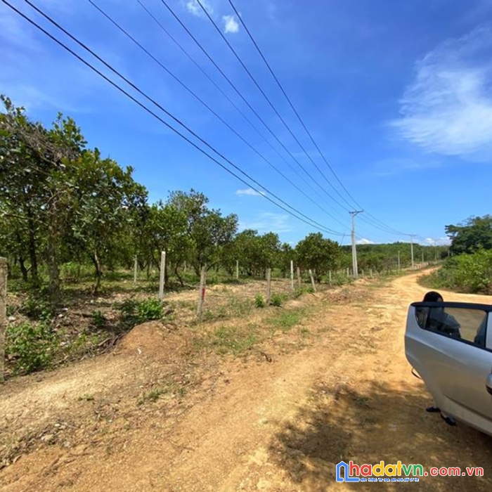 Đất 2 mặt tiền cầu la ngà, đường cập nhật sẵn trên sổ, cách quốc lộ 900m, giá rẻ đầu tư