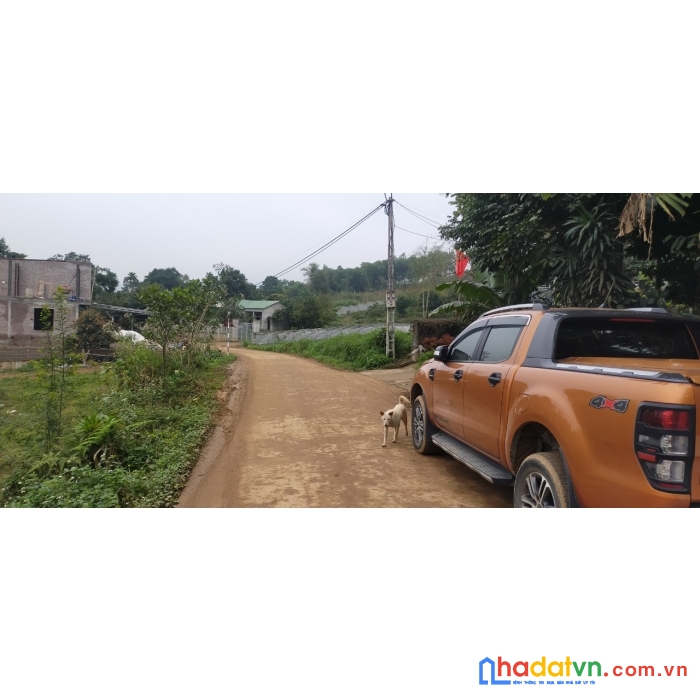 Chính chủ bán gấp 4000m2 (500m2 thổ cư) mt 76m, thôn rùa, vân hòa, ba vì 9.8 tỷ,