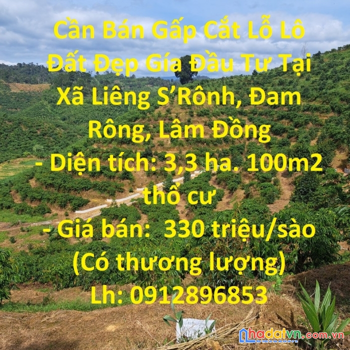 Cần bán gấp cắt lỗ lô đất đẹp gía đầu tư tại xã liêng s’rônh, đam rông, lâm đồng