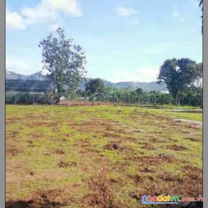 Em còn lô đất đẹp diện tích 1.087m2 sổ riêng xây dựng cần bán ở tà nung đà lạt giá chỉ có 9 tỷ