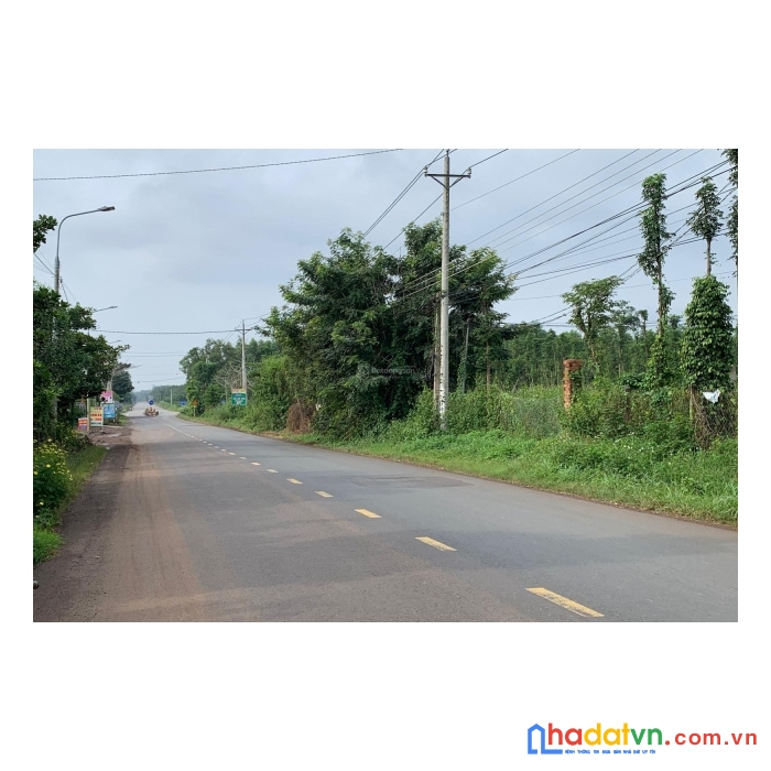 Bán gấp 37x27 100tc 85tr/m view hồ đá bàng  nh hỗ trợ 50%