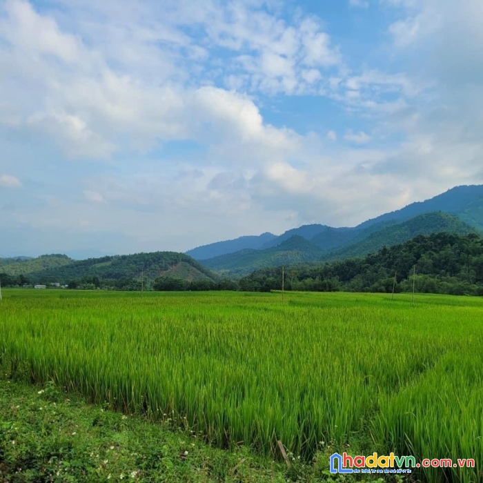 Siêu phẩm nghỉ dưỡng săn mây tại vùng lõi du lịch mai châu - hòa bình giá chỉ 380 triệu