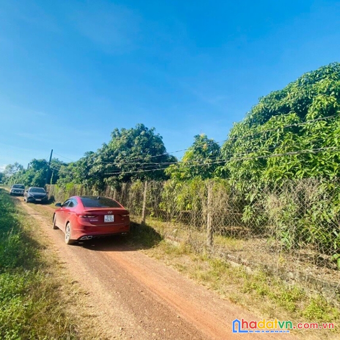 Đất vườn la ngà, cách quốc lộ 900m, mặt tiền đường 42m, sổ đỏ, giá rẻ ưu đãi đầu tư 