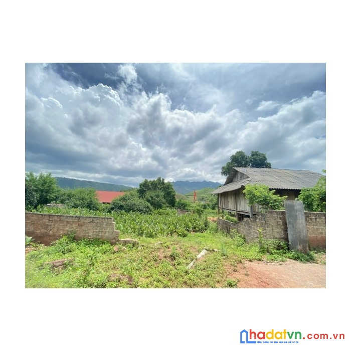  bán đất xã chiềng sơn ,mộc châu ,sơn la ,1288m2 có sổ đỏ
