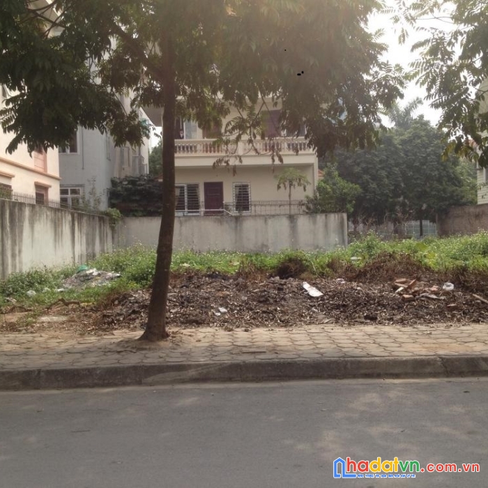 Bán đất biệt thự xa la, hà đông 226m2, mt11m, phân lô siêu nét, nhỉnh 20 tỷ