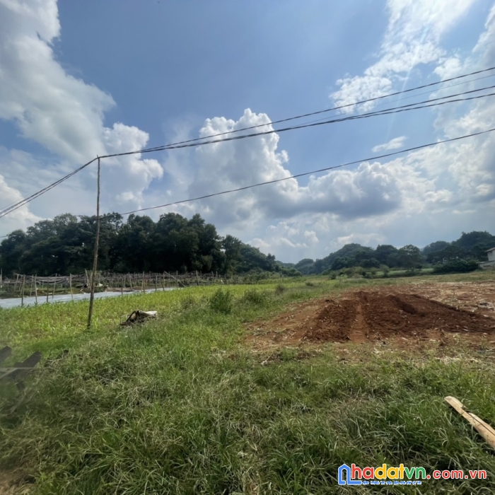   bán mảnh đất xã đông sang ,mộc châu ,sơn la ,577m2 có sổ đỏ