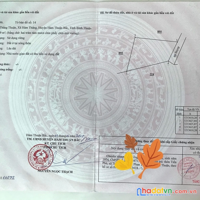 Chính chủ đứng bán lô đất thôn thắng thuận xã hàm thắng, hàm thuận bắc, bình thuận
