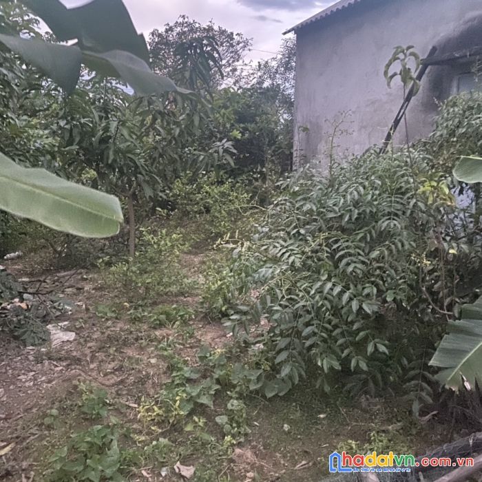 Cần bán đất giá thấp hơn thị trường 1 nửa cạnh kcn thị trấn phú đa, huyện phú vang, huế