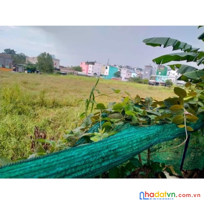 Đất hóc môn ,khu dân cư đông đúc . quy hoach ont ,tiện phân lô.