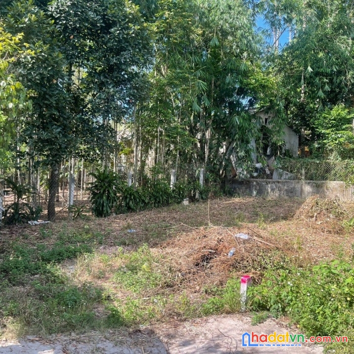 Đất kiệt lê ngô cát 1,4x tỷ /114m2 (lh: 0934109769 em nhi)