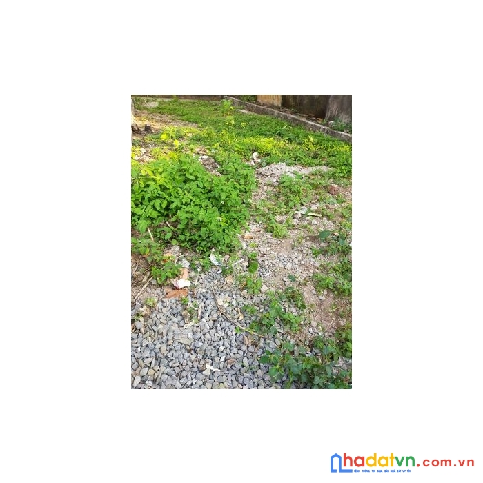 Bán đất biên giang hà đông 50m mặt 4m đường ô tô giá nhỉm tỷ