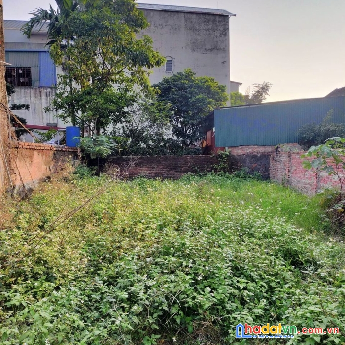 Bán đất tt trúc sơn gần biên giang - ô tô tránh - giá 25tr/m