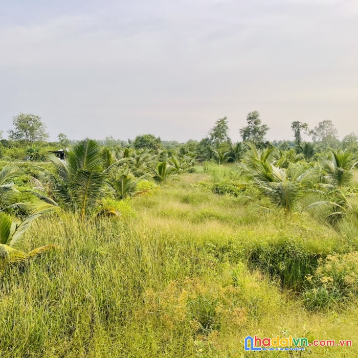 Bán nhanh lô đất view sông 2 mặt tiền vị trí tại: bến lức - long an
