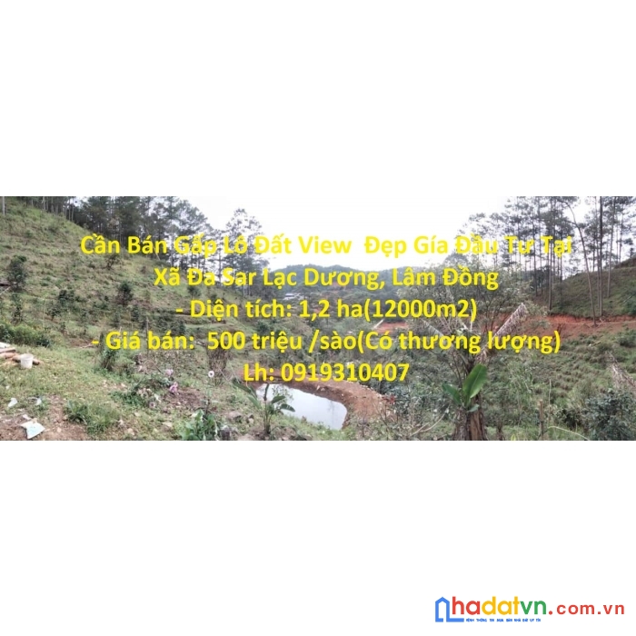 Cần bán gấp lô đất view  đẹp gía đầu tư tại xã đa sar lạc dương, lâm đồng