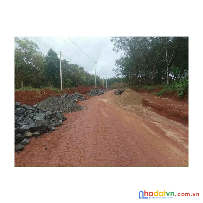 Bán đất hớn quản bình phước giá rẻ sổ sẵn