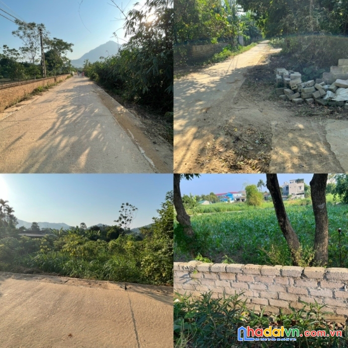 Chính chủ cần bán cắt lỗ mảnh đất tại tản lĩnh, ba vì, hà nội.