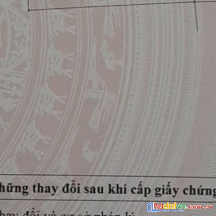 Bán đất đẹp tại vĩnh lộc xã tự nhiên ,thường tín ,hà nội