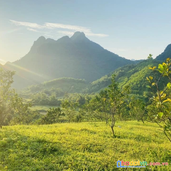 Bán đất lương sơn hòa bình - view suối - có thể trồng cây thảo dược - giá 800k/m