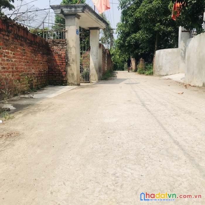 Bán đất trục chính thái đường 86m giá chỉ 1x, đường 5m ô tô tránh.