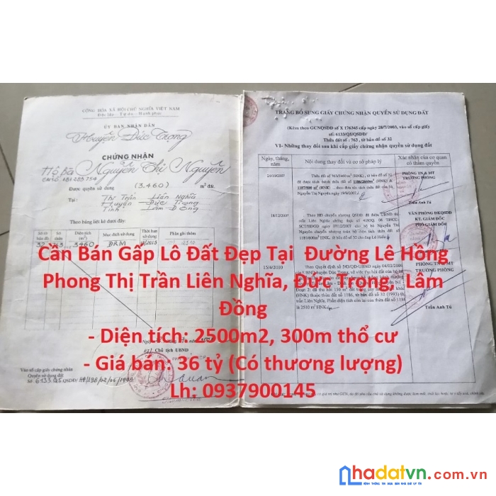 Cần bán gấp lô đất đẹp tại  đường lê hồng phong thị trần liên nghĩa, đức trọng,  lâm đồng