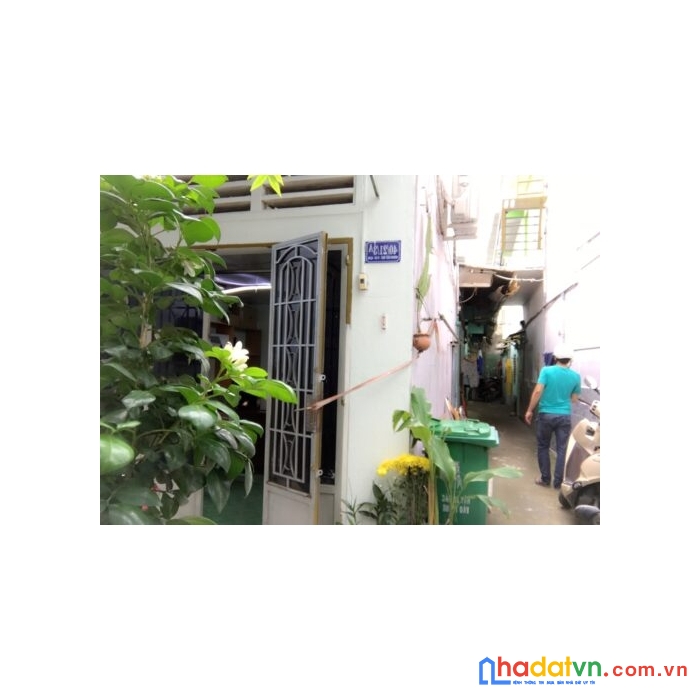 Chính chủ cần bán dãy trọ đường hoàng bật đạt, quận tân bình