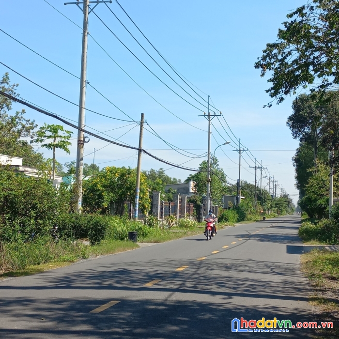 Bán đất 2 mặt tiền đường nhựa 1500m2 bùi thị điệt, xã phạm văn cội, huyện củ chi.