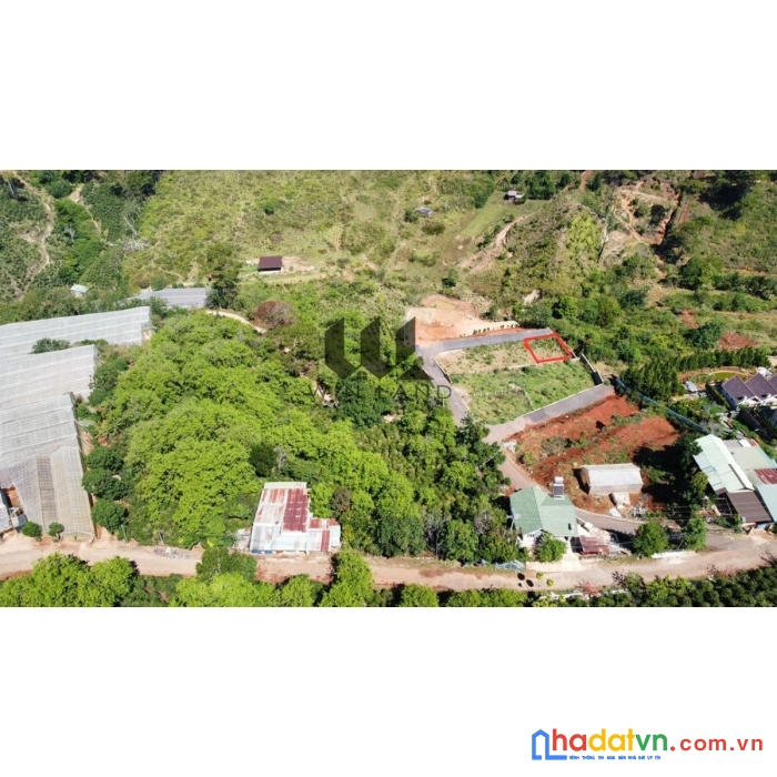 Cần tiền bán gấp đất biệt thự view thoáng tại măng ling, đà lạt 221m2 giá chỉ 4.9 tỷ