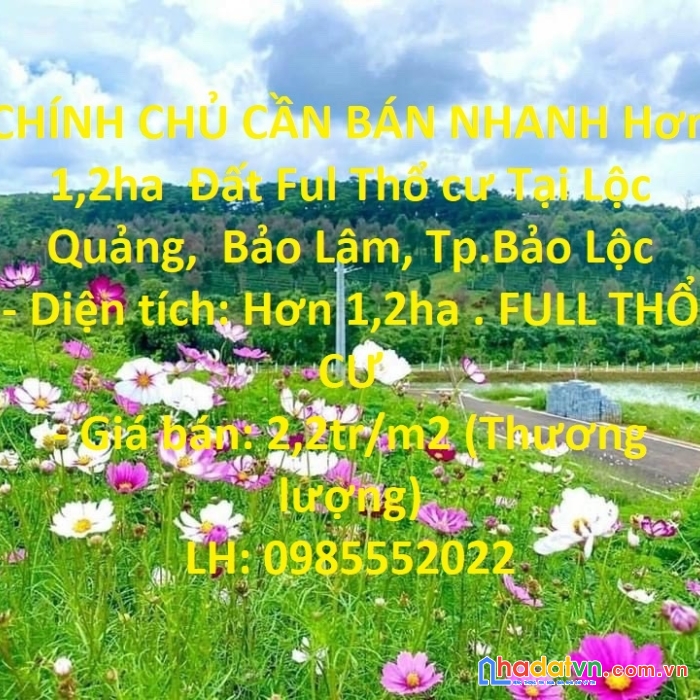 Chính chủ cần bán nhanh hơn 1,2ha  đất ful thổ cư tại lộc quảng,  bảo lâm, tp.bảo lộc