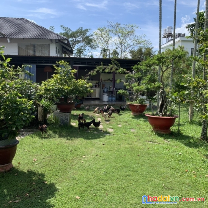 Bán biệt thự sân vườn hẻm xe hơi đường hà duy phiên bình mỹ củ chi gần 2000m2, chỉ 15 tỷ