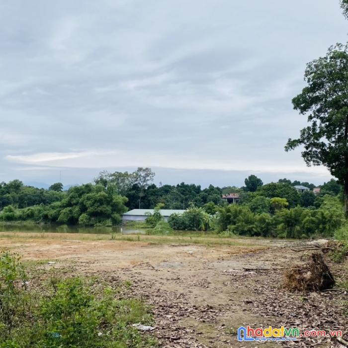 Bán gấp siêu phẩm nghỉ dưỡng bám hồ đồng sương có tổng diện tích 3200m2 trong đó có 200m2 thổ cư