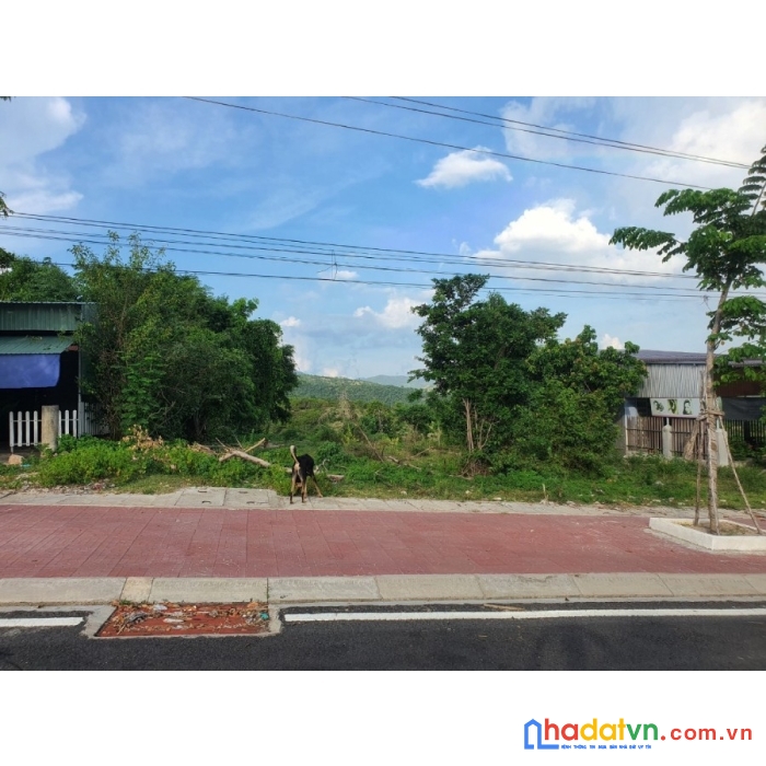 Bán lô đất cực đẹp đường hừng vương tại iapa gia lai