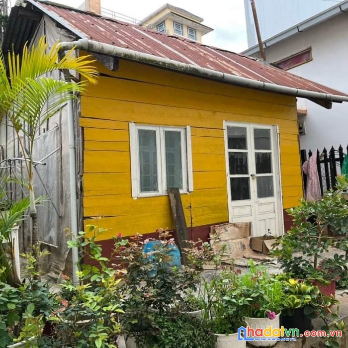 Cần bán gấp đất xd đường trần phú, p3, đà lạt giá chỉ 4.95 tỷ