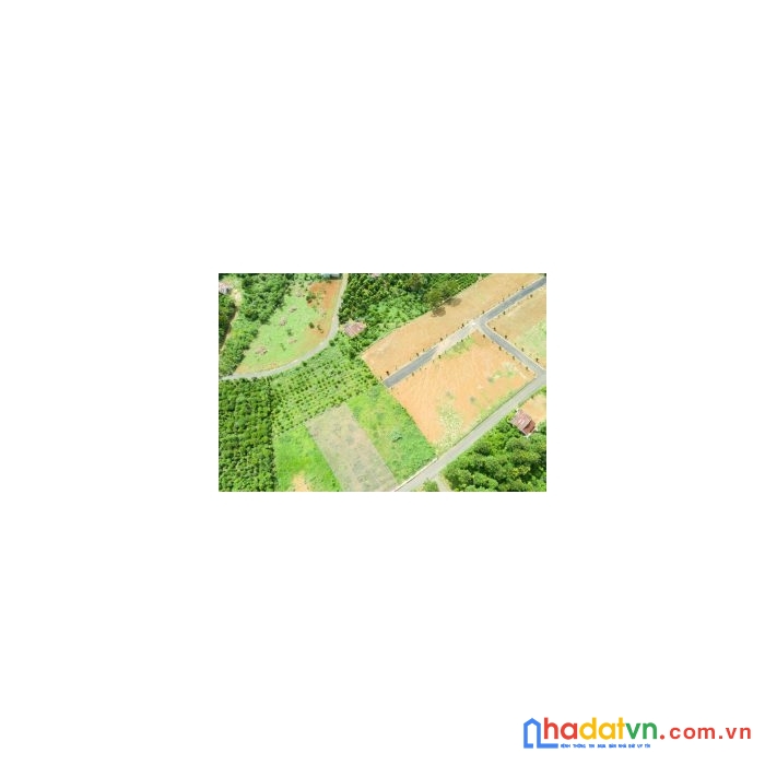 Cần ra 2 lô đất môi lô : 7,7m x 53m (408m2) thổ cư 158m