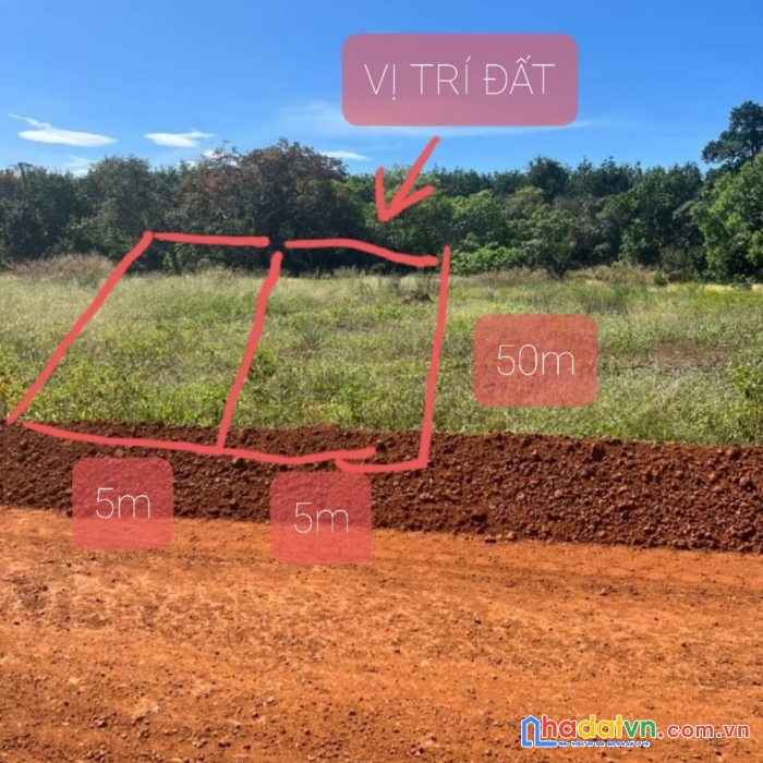 Kẹt tiền cần ra gấp đất thổ cư 250m2 chỉ với 300tr