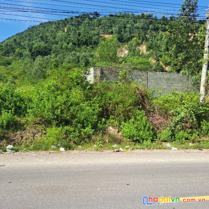 Đất mt tlộ 3, phước đồng,nha trang 613m2 giá 4,6tỷ
